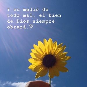 Meet your Posher, Carmen